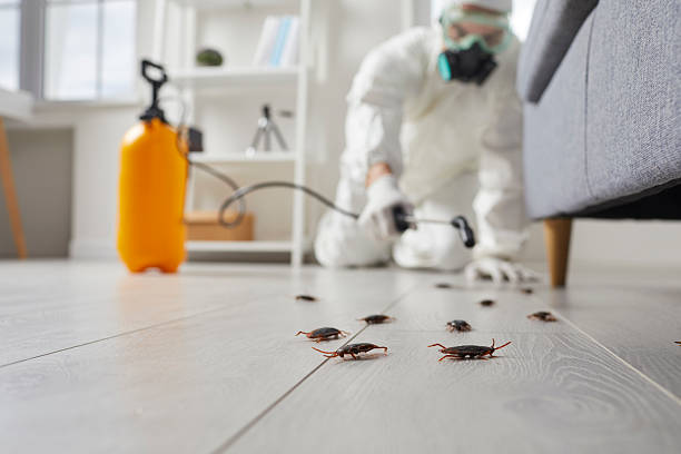 Commercial Kitchen Cockroach Control in Landen